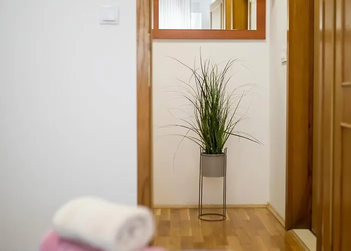 Apartamento Kimi